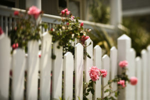 Painted white picket fence