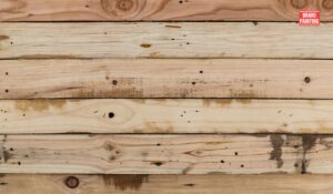 A Close Up Of A Wood Plank