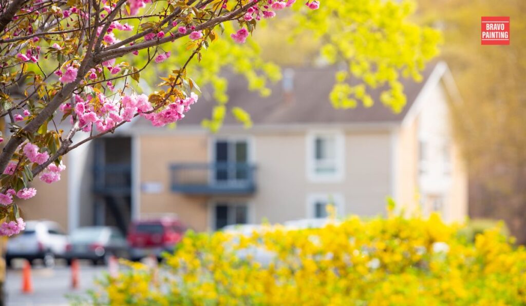 Curb Appeal Chronicles: Exploring Exterior House Colors That Wow 1 Best Time To Paint The Exterior
