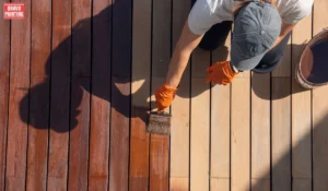 Integrating Environmentally Friendly Options Into Professional Wood Staining Is A Positive Step Towards Sustainability And Environmental Responsibility.